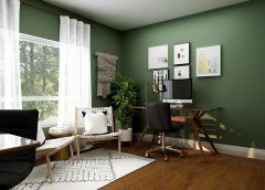 The Rise of the Solopreneur Ecosystem: Tools and Support Networks