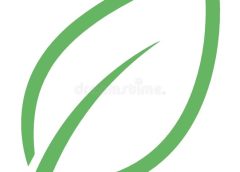 Sustainability marketing for eco-conscious Gen Z